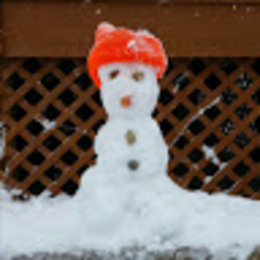 Meet your Posher, Anthony